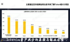 Tokenim资产减少的原因与解决方案