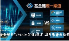 全面解析Tokenim公链:技术、应用及未来趋势