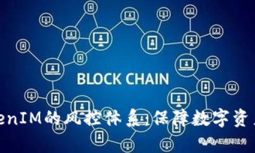 深入分析TokenIM的风控体系:保障数字资产安全的关键
