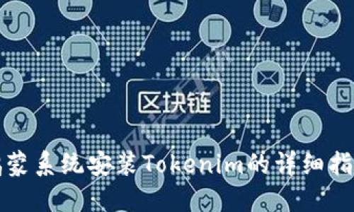 鸿蒙系统安装Tokenim的详细指南