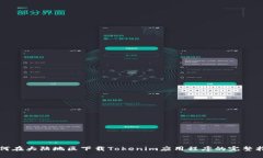 如何在大陆地区下载Tokenim应用程序的完整指南