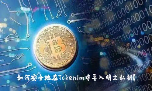如何安全地在Tokenim中导入明文私钥?