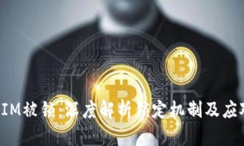 TokenIM被锁:深度解析锁定机制及应对策略