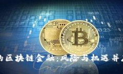 被禁止的区块链金融:风险与机遇并存的未来